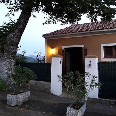Petit Coin De Paradis Évisa Eksteriør bilde